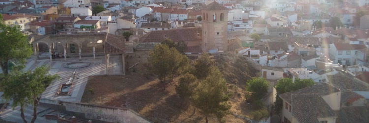 VISTA DESDE EL CAMPANARIO DE LA MAYOR