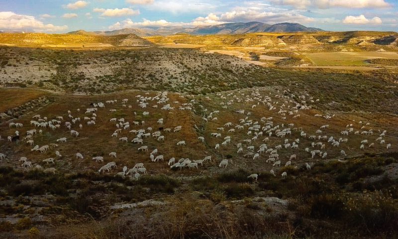 El Altiplano, Geoparque de Granada, condenado a la extinción desde el Gobierno de Pedro Sánchez. El que ha nacido a nivel mundial y desde la UNESCO, como territorio para el estudio de la evolución climática en la tierra desde el CUATERNARIO hasta nuestros días se ve abocado a perder sus paisajes más ancestrales por dictado gubernamental